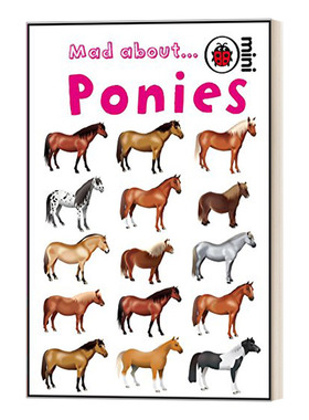 英文原版 Mad About Ponies  Mad About系列 小马 精装 英文版 进口英语原版书籍