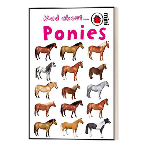 英文原版 Mad About Ponies  Mad About系列 小马 精装 英文版 进口英语原版书籍