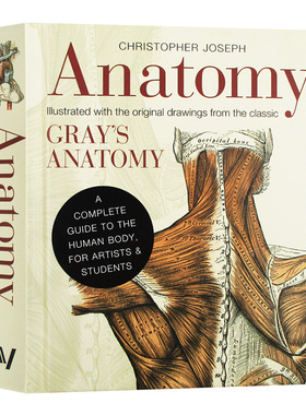 人体解剖指南 英文原版 精装 Anatomy A Complete Guide to the Human Body 英文版 进口原版英语科普读物书籍