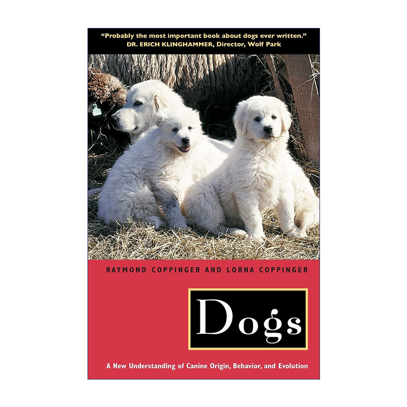 英文原版 Dogs 狗 犬类起源 行为与进化的新认识 Raymond Coppinger 英文版 进口英语原版书籍