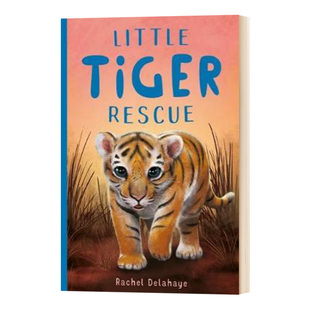 Animal 进口英语书籍 霍莉韦伯 Little Tiger 英文原版 拯救小老虎 拯救小动物系列 全英文版 Rescue 英文图书