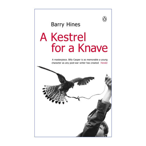 英文原版 A Kestrel for a Knave 男孩与鹰 巴里· 海因斯 英文版 进口英语原版书籍