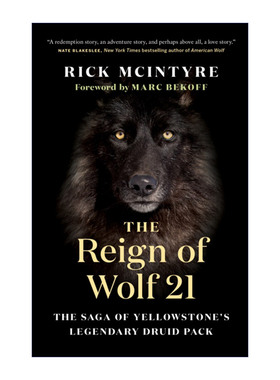 英文原版 The Reign of Wolf 21 狼21的统治 黄石公园狼系列1 Rick McIntyre 自然科普百科 英文版 进口英语原版书籍