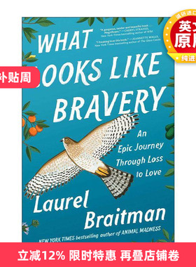 英文原版 What Looks Like Bravery 英文版 进口英语原版书籍