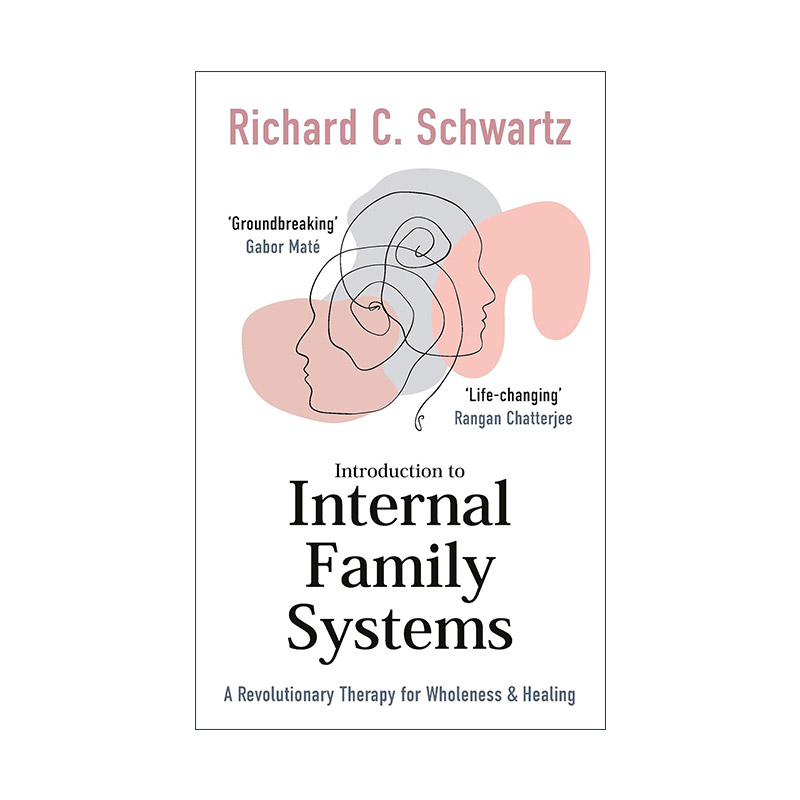 英文原版 Introduction to Internal Family Systems内在家庭系统疗法IFS介绍治愈创伤重整自我的新疗法理查德·施瓦茨英文版