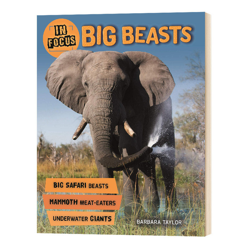 聚焦 大型动物 英文原版 in focus big beasts 英文版儿童英语科普