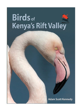 英文原版 Birds of Kenya's Rift Valley 肯尼亚大裂谷的鸟类 观鸟指南 Adam Scott Kennedy英文版 进口英语原版书籍