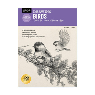 绘画鸟类 Birds 逐步学习画画 英文版 书籍 英文原版 进口英语原版 Drawing
