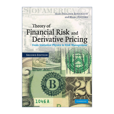 英文原版 Theory of Financial Risk and Derivative Pricing 金融风险和衍生证券定价理论 Jean-Philippe Bouchaud 英文版