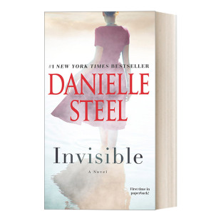 女性浪漫小说 Danielle Steel 英文原版 进口英语原版 隐形人 英文版 书籍 Invisible