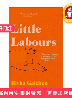 英文原版 Little Labours 小孕妇 里夫卡·加尔琴 女性小说 英文版 进口英语原版书籍