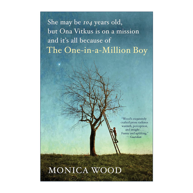 英文原版 The One-in-a-Million Boy 百万分之一的男孩 诺提勒斯书奖 新英格兰书商协会奖 英文版 进口英语原版书籍