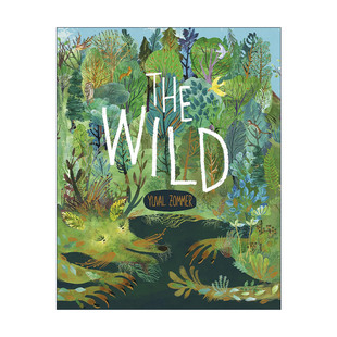 英文版 书籍 荒野 脚下 世界作者尤瓦?左墨Yuval 绘本 Wild 儿童自然精装 进口英语原版 英文原版 Zommer The