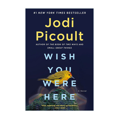 英文原版 Wish You Were Here 希望你在这里 渺小的伟大作者Jodi Picoult朱迪·皮考特 英文版 进口英语原版书籍