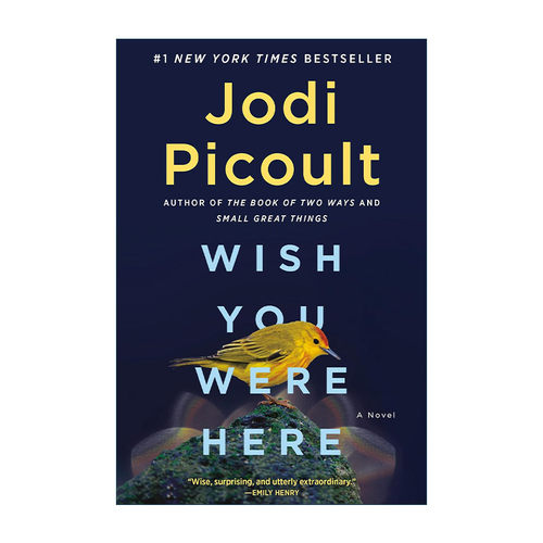 英文原版 Wish You Were Here 希望你在这里 渺小的伟大作者Jodi Picoult朱迪·皮考特 英文版 进口英语原版书籍