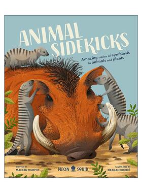 英文原版 Animal Sidekicks 动物伙伴 共生关系 儿童科普百科读物 全彩插图精装 英文版 进口英语原版书籍