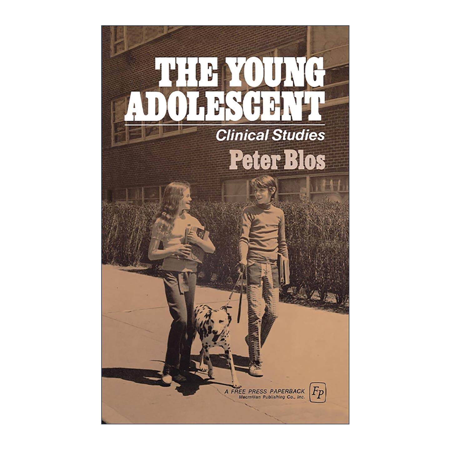 英文原版 Young Adolescent 青少年早期的心理发展 英文版 进口英语原版书籍