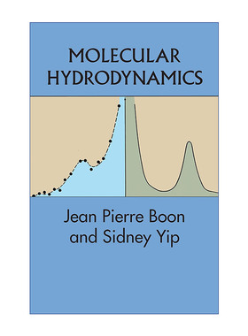 英文原版 Molecular Hydrodynamics 分子流体动力学 物理学 Jean Pierre Boon 英文版 进口英语原版书籍