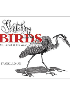 英文原版 Sketching Birds 鸟类素描指南 钢笔 铅笔和水墨绘画技巧 Frank J. Lohan 英文版 进口英语原版书籍