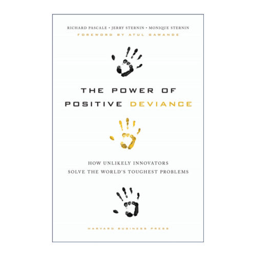 英文原版 The Power of Positive Deviance 正向偏差的力量 反直觉解决问题 哈佛商业评论 Pascale Richard 精装 进口英语原版书籍