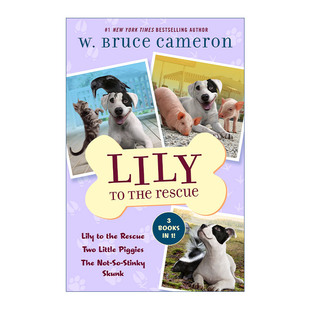 英文原版 一条狗 救援犬莉莉1 Rescue 书籍 英文版 进口英语原版 the Bind Books 动物章节书 3合集 使命作者 Lily