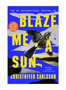 英文原版 Blaze Me a Sun 为我点燃太阳 犯罪悬疑小说 Christoffer Carlsson 英文版 进口英语原版书籍