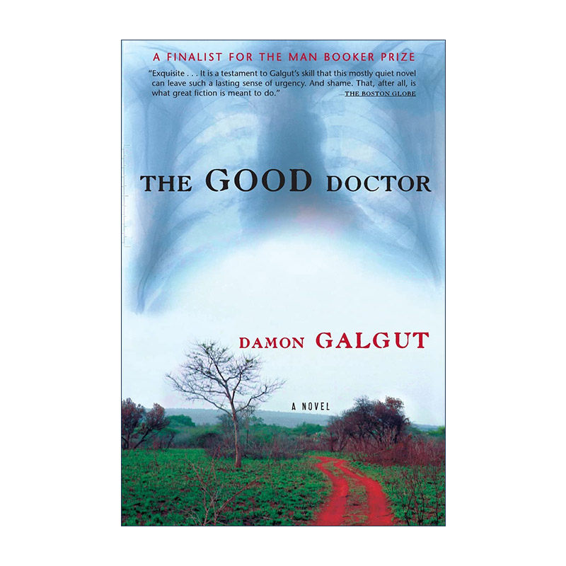 英文原版 The Good Doctor 多余人 都柏林文学奖入围 Damon Galgut达蒙·加尔格特 英文版 进口英语原版书籍