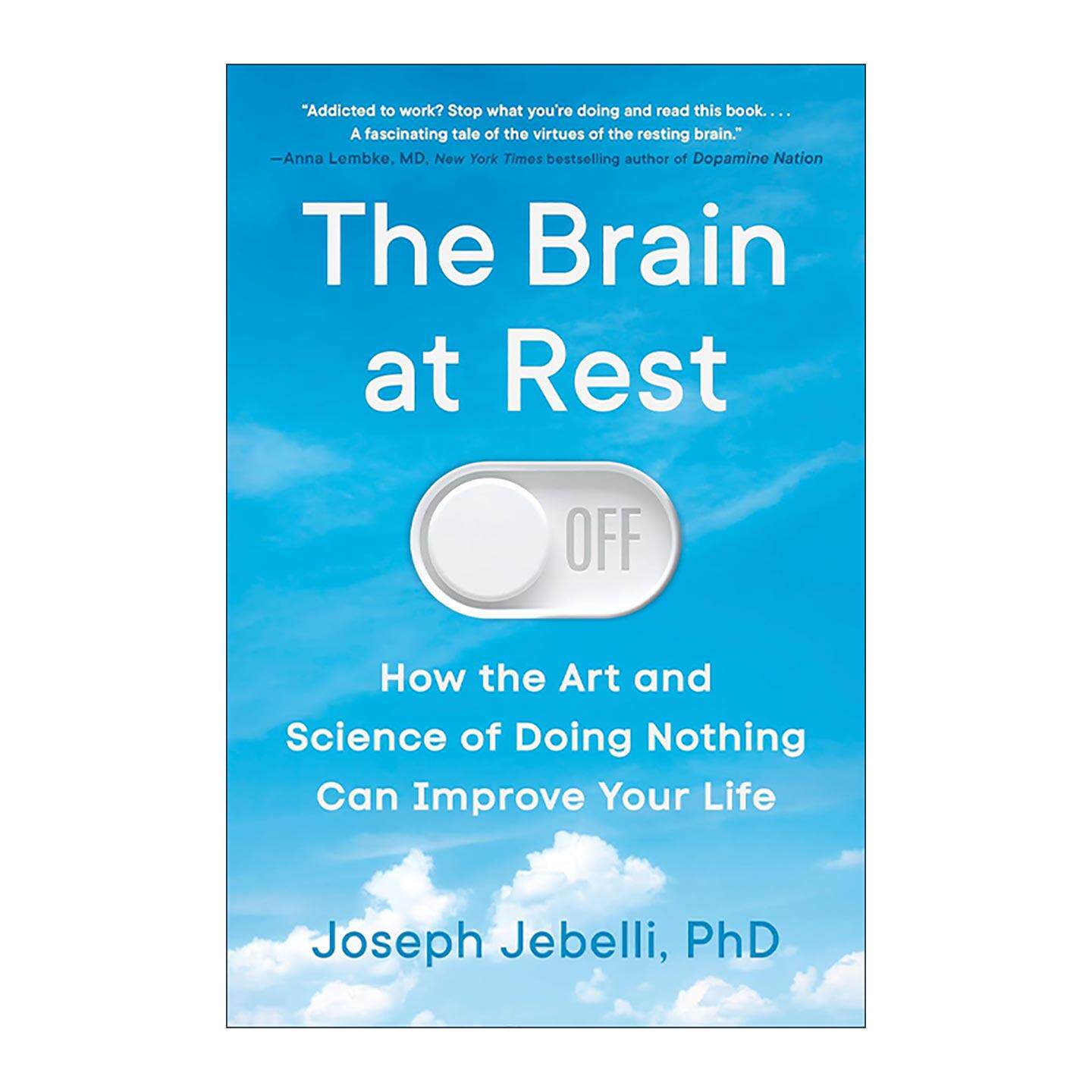 英文原版 The Brain at Rest 静息大脑 为何无所事事也能改变人生 追寻记忆作者约瑟夫·杰贝利 精装 英文版 进口英语原版书籍