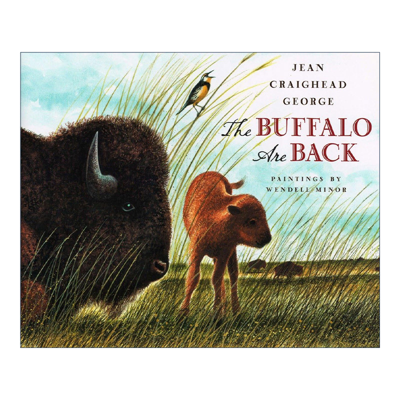 英文原版 The Buffalo Are Back 水牛回来了 儿童自然环境保护精装绘本 纽伯瑞奖得主 山中岁月作者Jean Craighead George 英文版