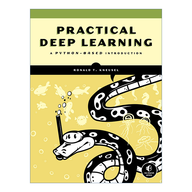英文原版 Practical Deep Learning 实用的深度学习 基于python的介绍 计算机编程 Ronald T. Kneusel 英文版 进口英语原版书籍