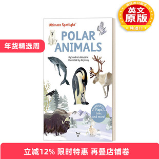 英文原版绘本 Ultimate Spotlight Polar Animals 极致系列 北极动物 精装立体翻翻书 英文版 进口英语原版书籍