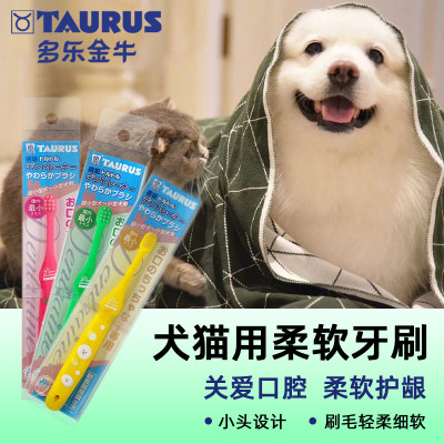 Taurus多乐金牛刷牙专家小型犬