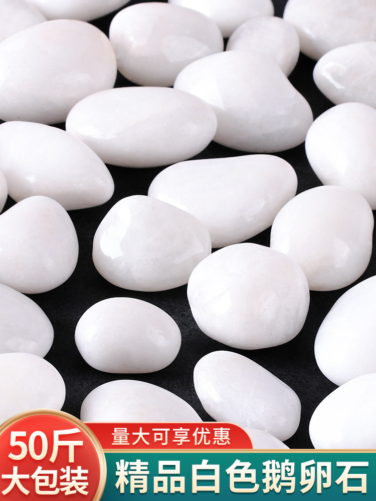 白色鹅卵石雨花石原石天然庭院铺地石头造景白石子鱼缸装饰