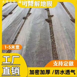 可降解塑料薄膜全生物降解种植地膜保温透气农用薄膜白地膜黑地膜
