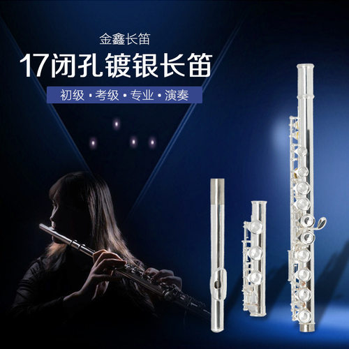 17孔E键C调镀银长笛 镀银长笛17孔C调长笛乐器笛子