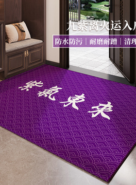紫色风水入户门地垫进门口防水防滑耐脏家用玄关除尘脚垫定制地毯