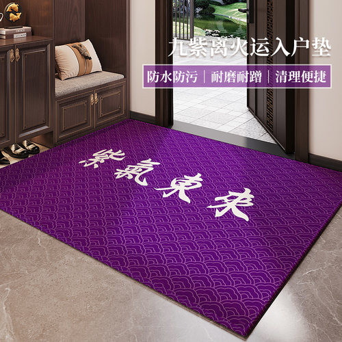紫色风水防滑耐脏除尘脚垫地垫