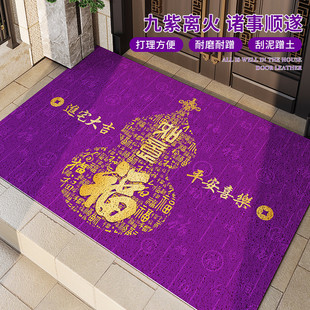 2025年新款 风水入户门地垫丝圈进门口家用除尘蹭土脚垫加厚地毯