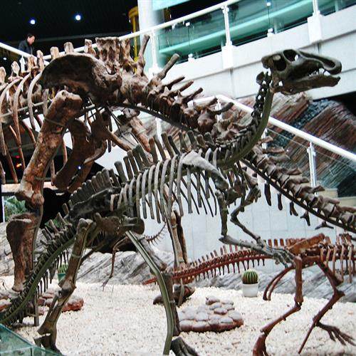 恐龙霸王龙化石骨骼玻璃钢静态博物馆橱窗美陈公园摆件厂家直销,基础建材,砂岩雕刻,淘宝优惠券,粉丝福利购,淘宝优惠卷