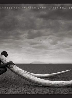 现货 Across the Ravaged Land   Nick Brandt  尼克布兰特《穿越受伤的大地》野生动物  纪实摄影集