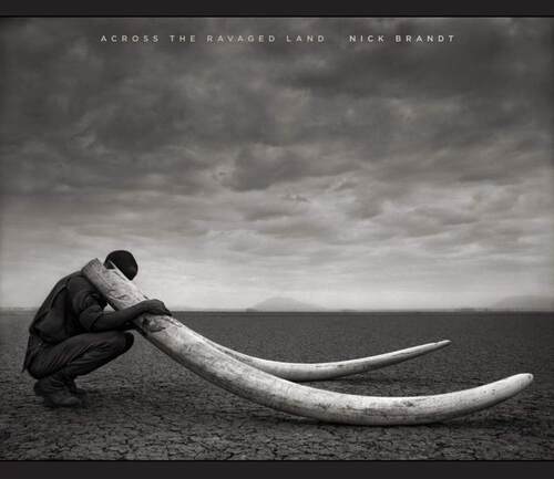 现货 Across the Ravaged Land   Nick Brandt  尼克布兰特《穿越受伤的大地》野生动物  纪实摄影集