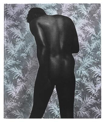 现货 Ming Smith: An Aperture Monograph