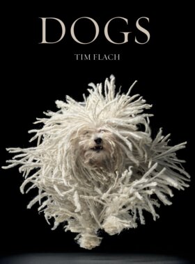现货  Dogs  Tim Flach  动物摄影大师蒂姆弗拉克镜头下的 狗狗 摄影集