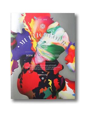 现货 Palette 02 Multicolour 色彩系列02：五彩缤纷图形 平面设计书籍
