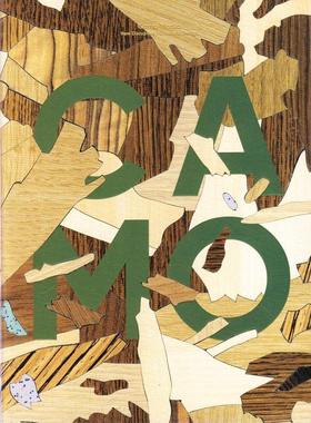 现货 Camo Mania: New disruptive patterns in design 《迷彩狂热：设计中的新型颠覆性图案》