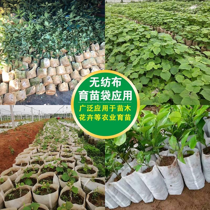 无纺布育苗袋植树袋种植袋营养袋营养钵.