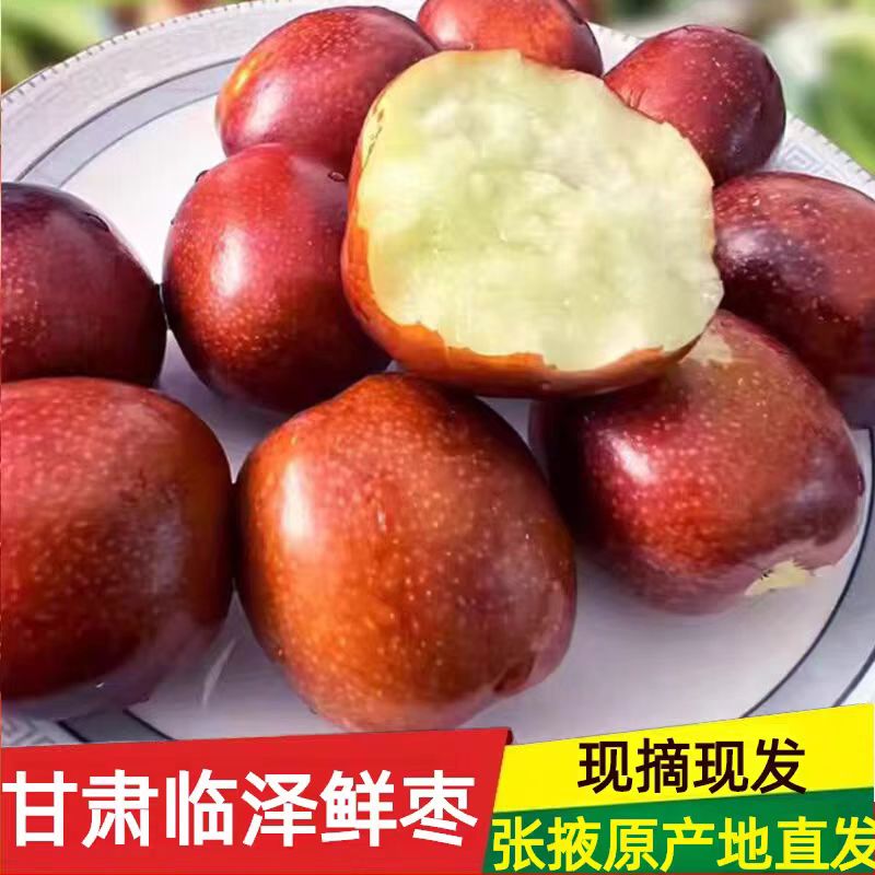 甘肃临泽新枣现摘现发5斤