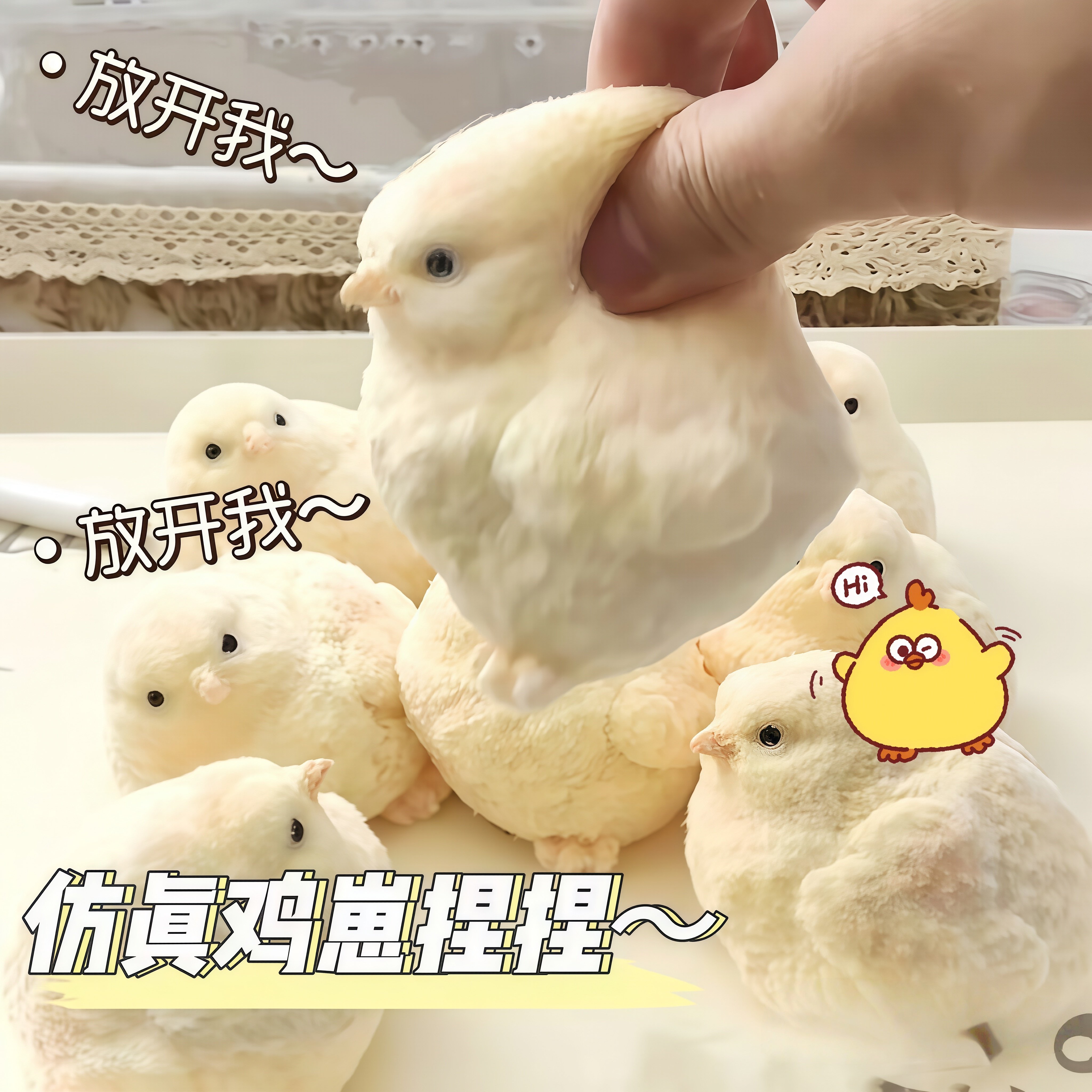 【QQ弹弹】硅胶母鸡小鸡捏捏乐手工制作散养土鸡捏捏发泄玩具搞笑