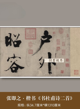 张即之大字楷书《杜甫诗二首》真