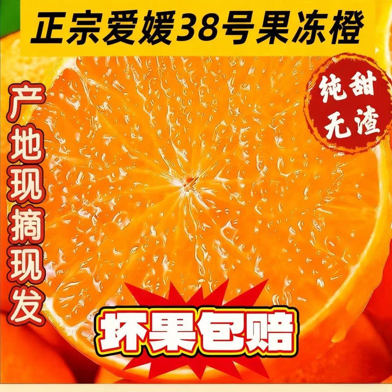 四川眉山爱媛果冻橙产地直销